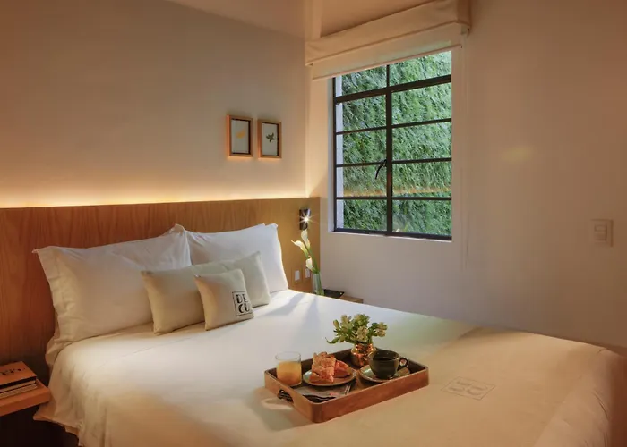 Hotel Casa Decu