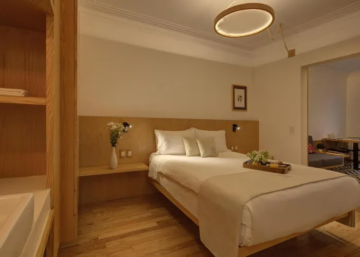 Hotel Casa Decu 4*